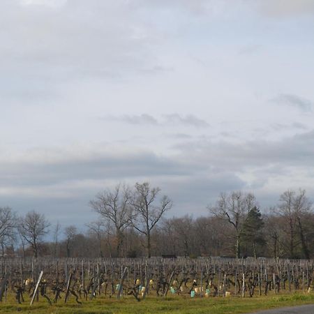 Maison Bertineau Proche Saint-Emilion Néac エクステリア 写真